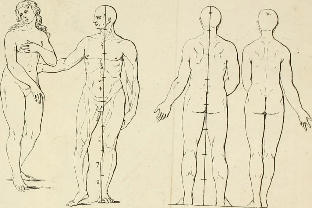 An illustration from Dictionarium polygraphicum: or, The whole body of arts regularly digested ... adorned with proper sculptures, curiously engraven on more than fifty copper plates .., 1735, leaf 619