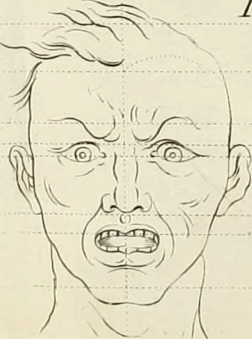 An illustration from Dictionarium polygraphicum: or, The whole body of arts regularly digested ... adorned with proper sculptures, curiously engraven on more than fifty copper plates .., 1735, leaf 349