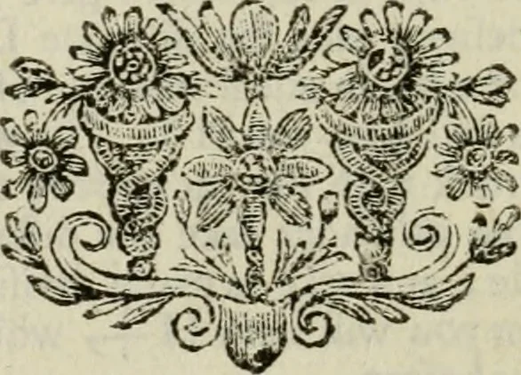 An illustration from Dictionarium polygraphicum: or, The whole body of arts regularly digested ... adorned with proper sculptures, curiously engraven on more than fifty copper plates .., 1735, leaf 571