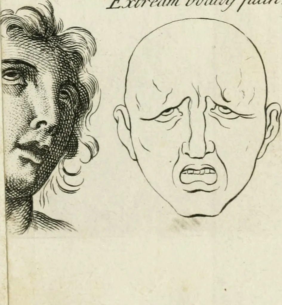An illustration from Dictionarium polygraphicum: or, The whole body of arts regularly digested ... adorned with proper sculptures, curiously engraven on more than fifty copper plates .., 1735, leaf 84