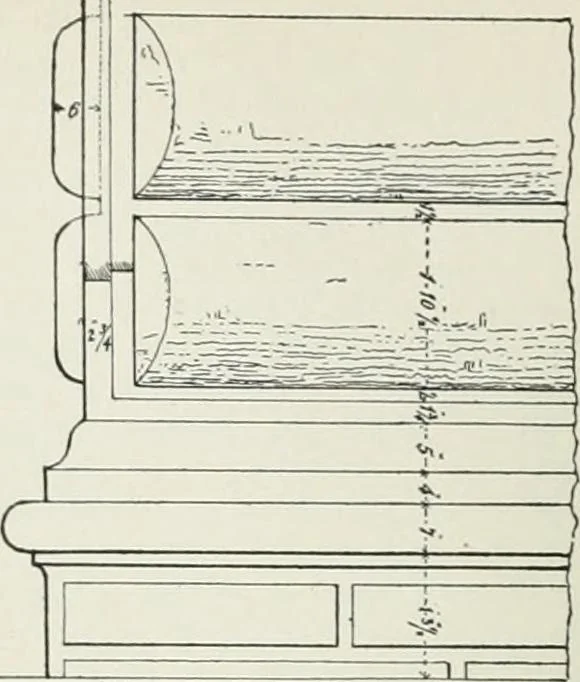 An illustration from A dictionary of architecture and building; biographical, historical and descriptive, 1901, leaf 238