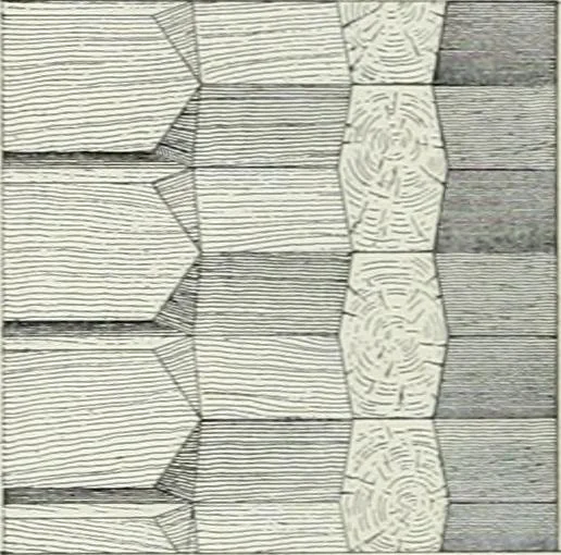 An illustration from A dictionary of architecture and building; biographical, historical and descriptive, 1901, leaf 252