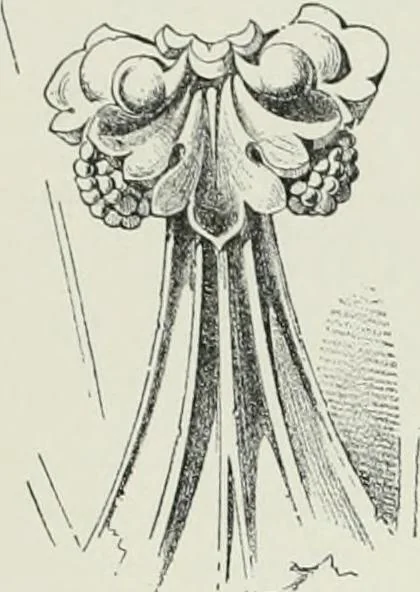 An illustration from A dictionary of architecture and building; biographical, historical and descriptive, 1901, leaf 283