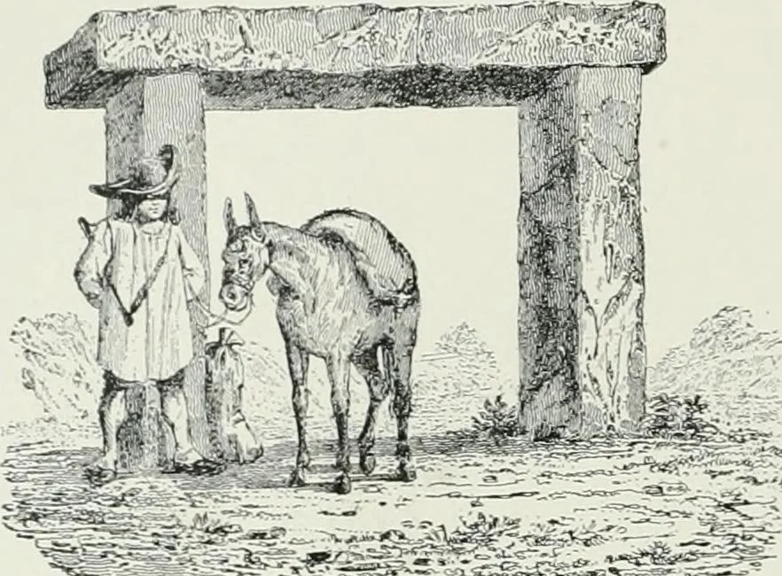 An illustration from A dictionary of architecture and building; biographical, historical and descriptive, 1901, leaf 508