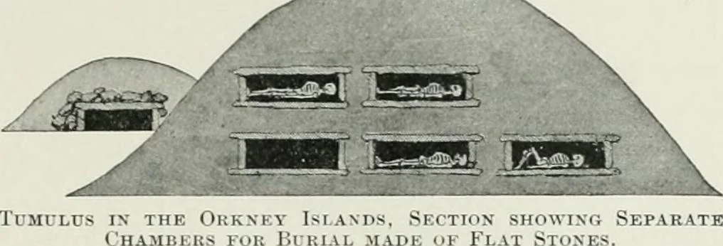 An illustration from A dictionary of architecture and building; biographical, historical and descriptive, 1901, leaf 517