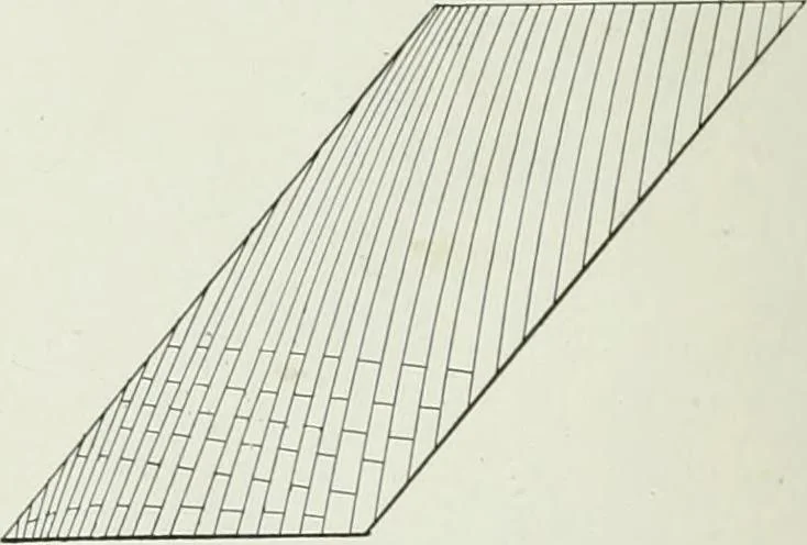 An illustration from A dictionary of architecture and building; biographical, historical and descriptive, 1901, leaf 550