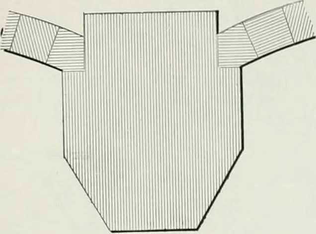An illustration from A dictionary of architecture and building; biographical, historical and descriptive, 1901, leaf 555