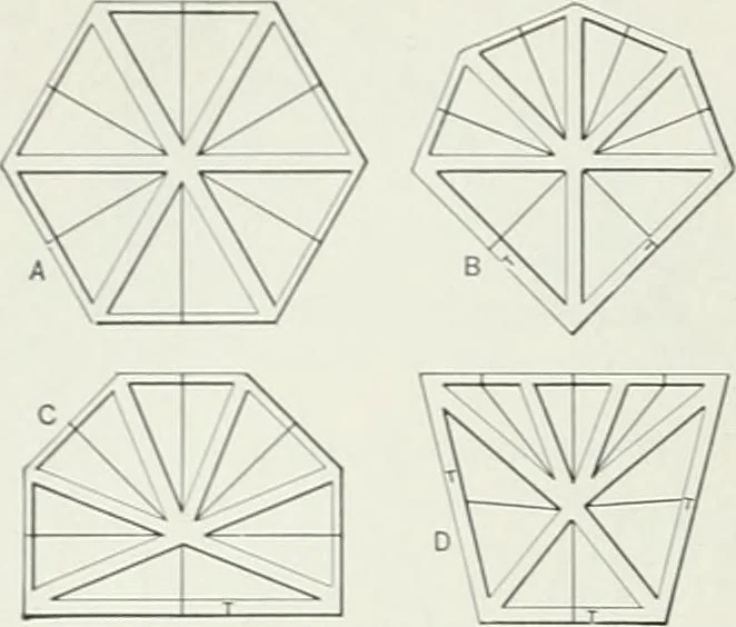 An illustration from A dictionary of architecture and building; biographical, historical and descriptive, 1901, leaf 558