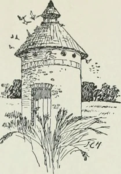 An illustration from A dictionary of architecture and building; biographical, historical and descriptive, 1901, leaf 95