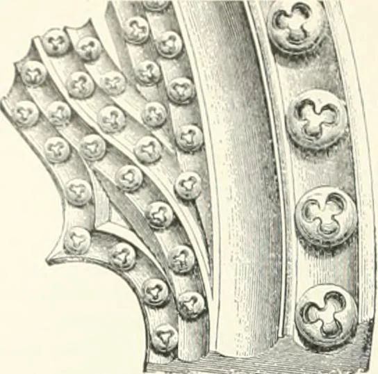 An illustration from A dictionary of architecture and building; biographical, historical and descriptive, 1901, leaf 120