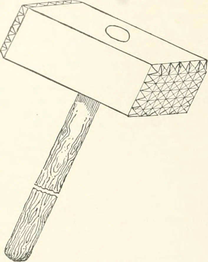 An illustration from A dictionary of architecture and building; biographical, historical and descriptive, 1901, leaf 230