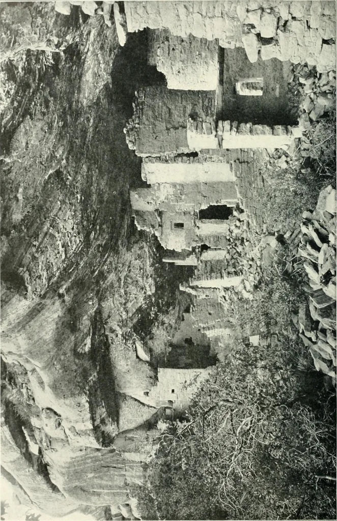 An illustration from A dictionary of architecture and building; biographical, historical and descriptive, 1901, leaf 358