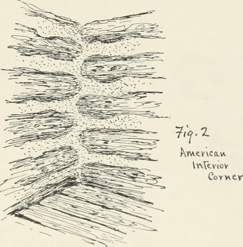 An illustration from A dictionary of architecture and building; biographical, historical and descriptive, 1901, leaf 462