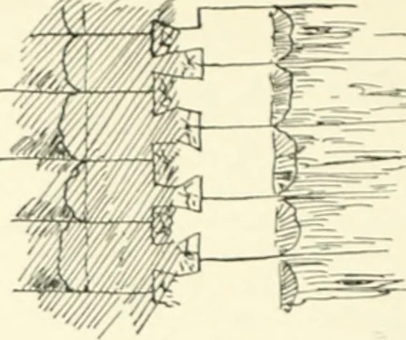 An illustration from A dictionary of architecture and building; biographical, historical and descriptive, 1901, leaf 463