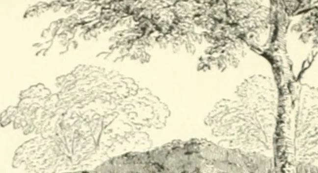 An illustration from A dictionary of architecture and building; biographical, historical and descriptive, 1901, leaf 497