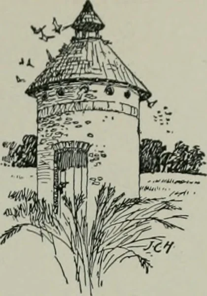 An illustration from A dictionary of architecture and building; biographical, historical and descriptive, 1901, leaf 100