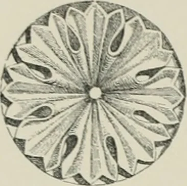 An illustration from A dictionary of architecture and building; biographical, historical and descriptive, 1901, leaf 231