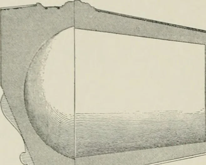 An illustration from A dictionary of architecture and building; biographical, historical and descriptive, 1901, leaf 253