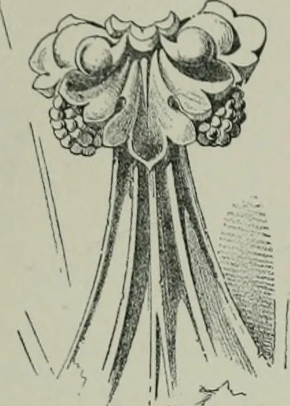 An illustration from A dictionary of architecture and building; biographical, historical and descriptive, 1901, leaf 288