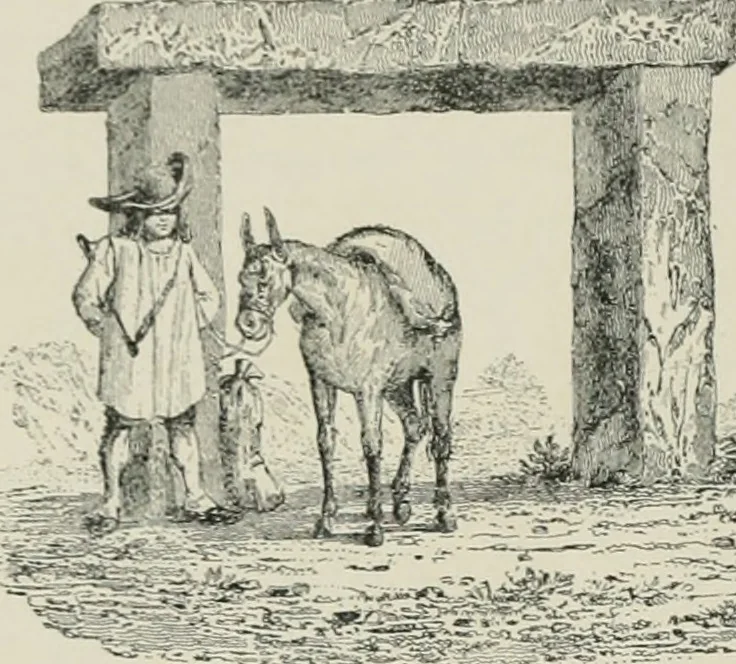 An illustration from A dictionary of architecture and building; biographical, historical and descriptive, 1901, leaf 515