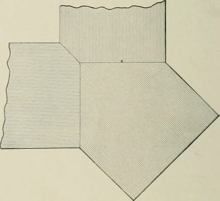 An illustration from A dictionary of architecture and building; biographical, historical and descriptive, 1901, leaf 561