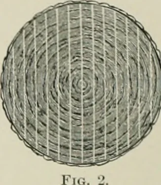 An illustration from A dictionary of architecture and building; biographical, historical and descriptive, 1901, leaf 643