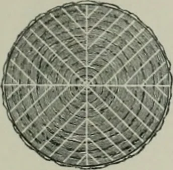 An illustration from A dictionary of architecture and building; biographical, historical and descriptive, 1901, leaf 644