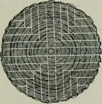 An illustration from A dictionary of architecture and building; biographical, historical and descriptive, 1901, leaf 644