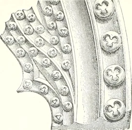 An illustration from A dictionary of architecture and building : biographical, historical, and descriptive, 1902, leaf 125