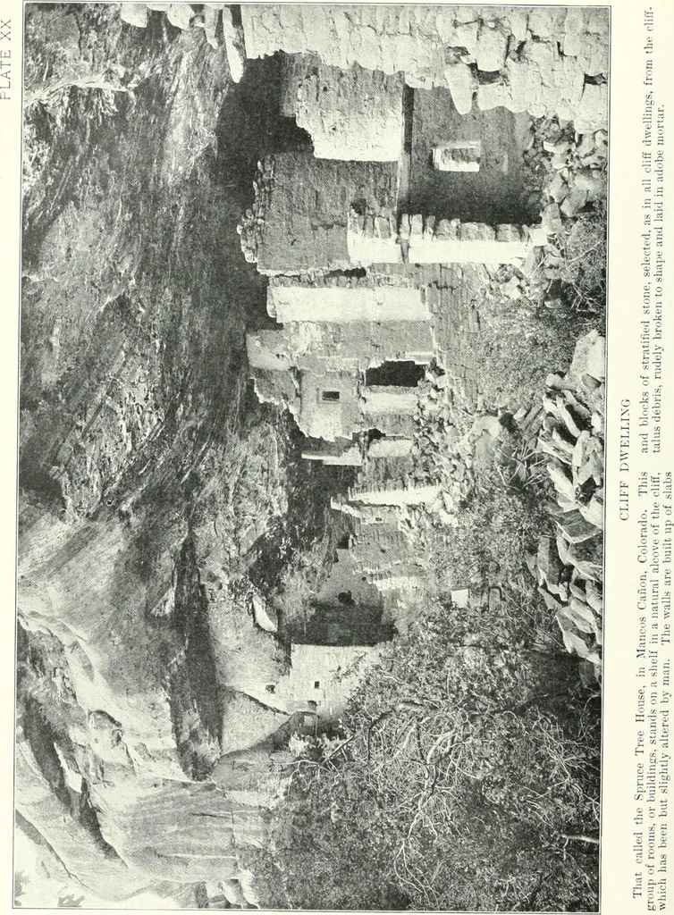 An illustration from A dictionary of architecture and building : biographical, historical, and descriptive, 1902, leaf 363
