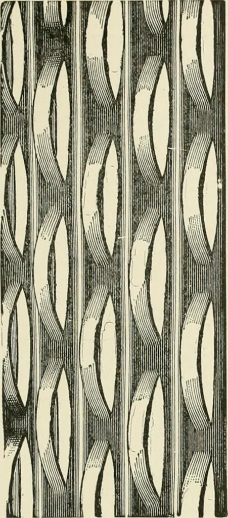 An illustration from A dictionary of architecture and building : biographical, historical, and descriptive, 1902, leaf 419