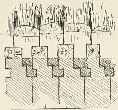 An illustration from A dictionary of architecture and building : biographical, historical, and descriptive, 1902, leaf 462
