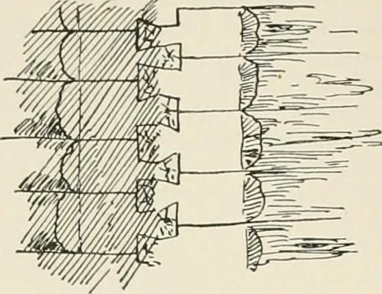 An illustration from A dictionary of architecture and building : biographical, historical, and descriptive, 1902, leaf 462