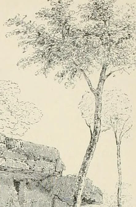 An illustration from A dictionary of architecture and building : biographical, historical, and descriptive, 1902, leaf 496