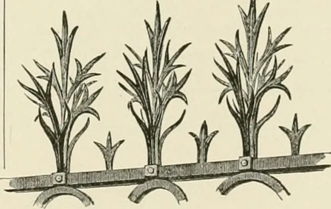 An illustration from A dictionary of architecture and building : biographical, historical, and descriptive, 1902, leaf 515