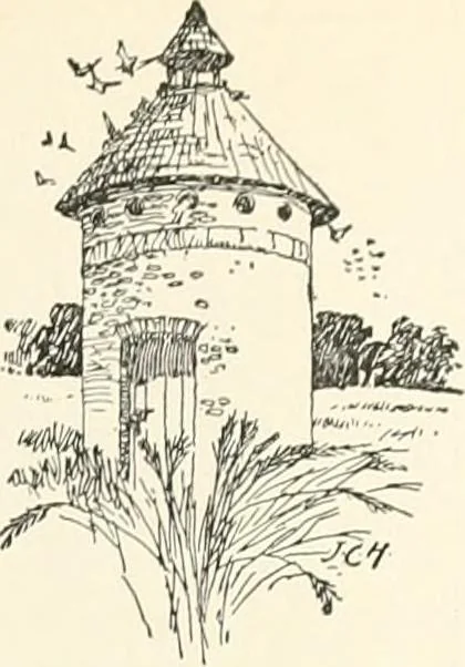 An illustration from A dictionary of architecture and building : biographical, historical, and descriptive, 1902, leaf 100