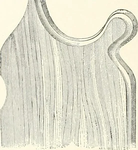 An illustration from A dictionary of architecture and building : biographical, historical, and descriptive, 1902, leaf 125