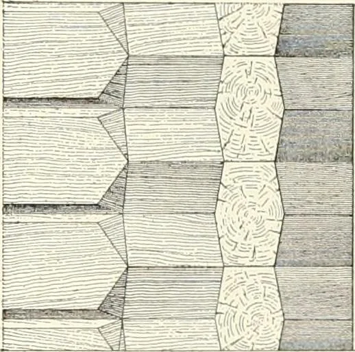 An illustration from A dictionary of architecture and building : biographical, historical, and descriptive, 1902, leaf 257