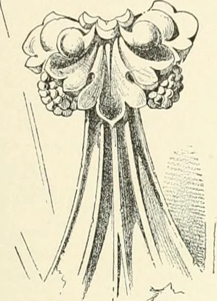 An illustration from A dictionary of architecture and building : biographical, historical, and descriptive, 1902, leaf 288