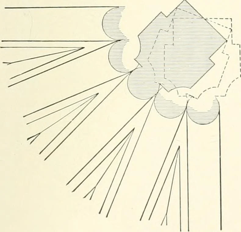 An illustration from A dictionary of architecture and building : biographical, historical, and descriptive, 1902, leaf 560