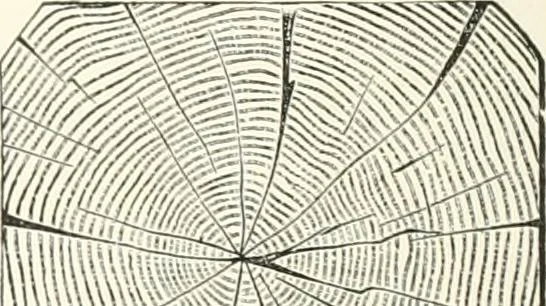 An illustration from A dictionary of architecture and building : biographical, historical, and descriptive, 1902, leaf 641