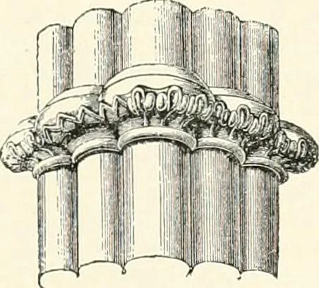 An illustration from A dictionary of architecture and building : biographical, historical, and descriptive, 1902, leaf 98