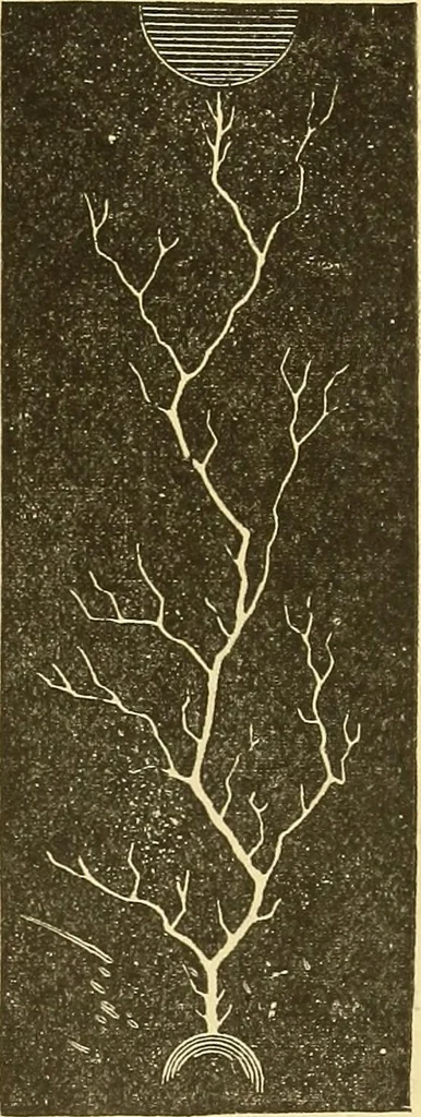 An illustration from A dictionary of electrical words, terms and phrases, 1898, leaf 177