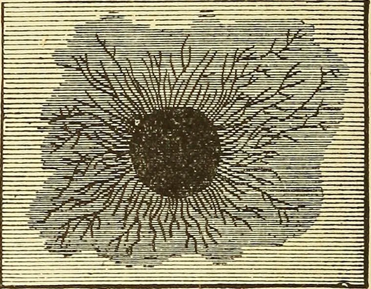 An illustration from A dictionary of electrical words, terms and phrases, 1898, leaf 240