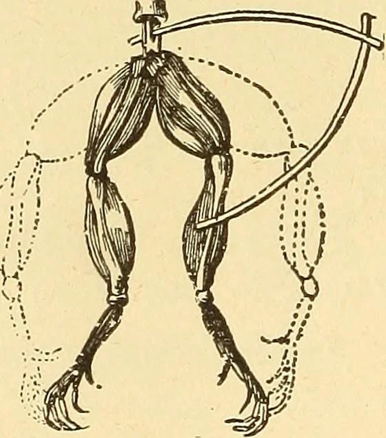 An illustration from A dictionary of electrical words, terms and phrases, 1898, leaf 252