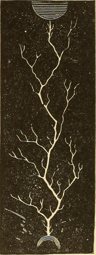 An illustration from A dictionary of electrical words, terms and phrases, 1896, leaf 179
