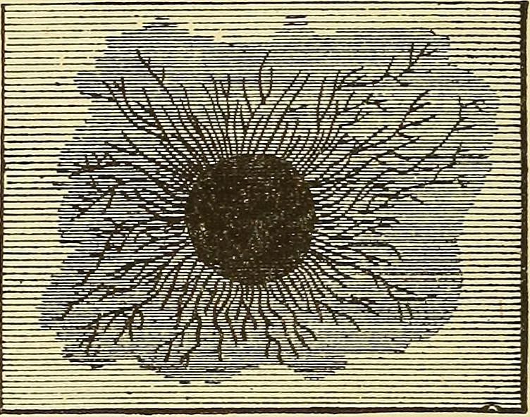 An illustration from A dictionary of electrical words, terms and phrases, 1896, leaf 242