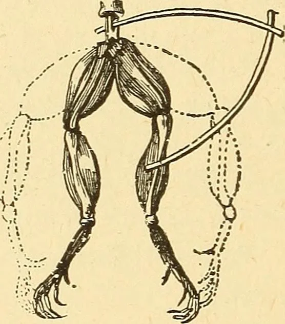 An illustration from A dictionary of electrical words, terms and phrases, 1896, leaf 254