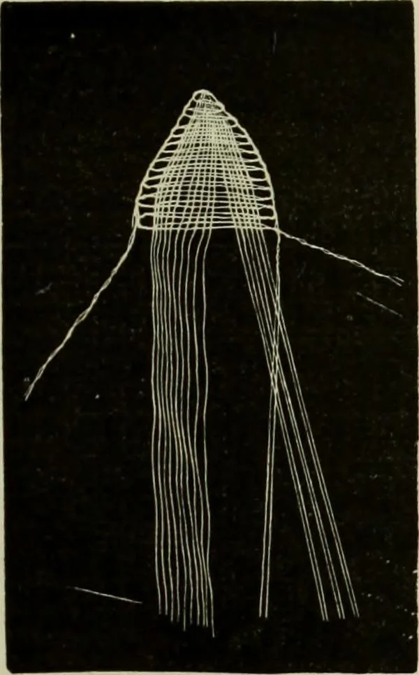 An illustration from The dictionary of needlework : an encyclopaedia of artistic, plain, and fancy needlework dealing fully with the details of all the stitches employed, the method of working, the materials used, the meaning of technical terms, and, where necessary, tracing the origin and history of the various works described, 1882, leaf 107