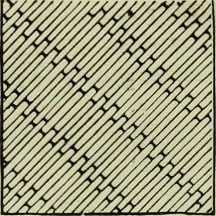 An illustration from The dictionary of needlework : an encyclopaedia of artistic, plain, and fancy needlework dealing fully with the details of all the stitches employed, the method of working, the materials used, the meaning of technical terms, and, where necessary, tracing the origin and history of the various works described, 1882, leaf 119